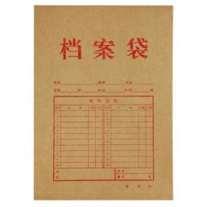 齐心 本色纯木浆牛皮纸 竖式档案袋 A4(10个/套) AP-117牛皮纸色